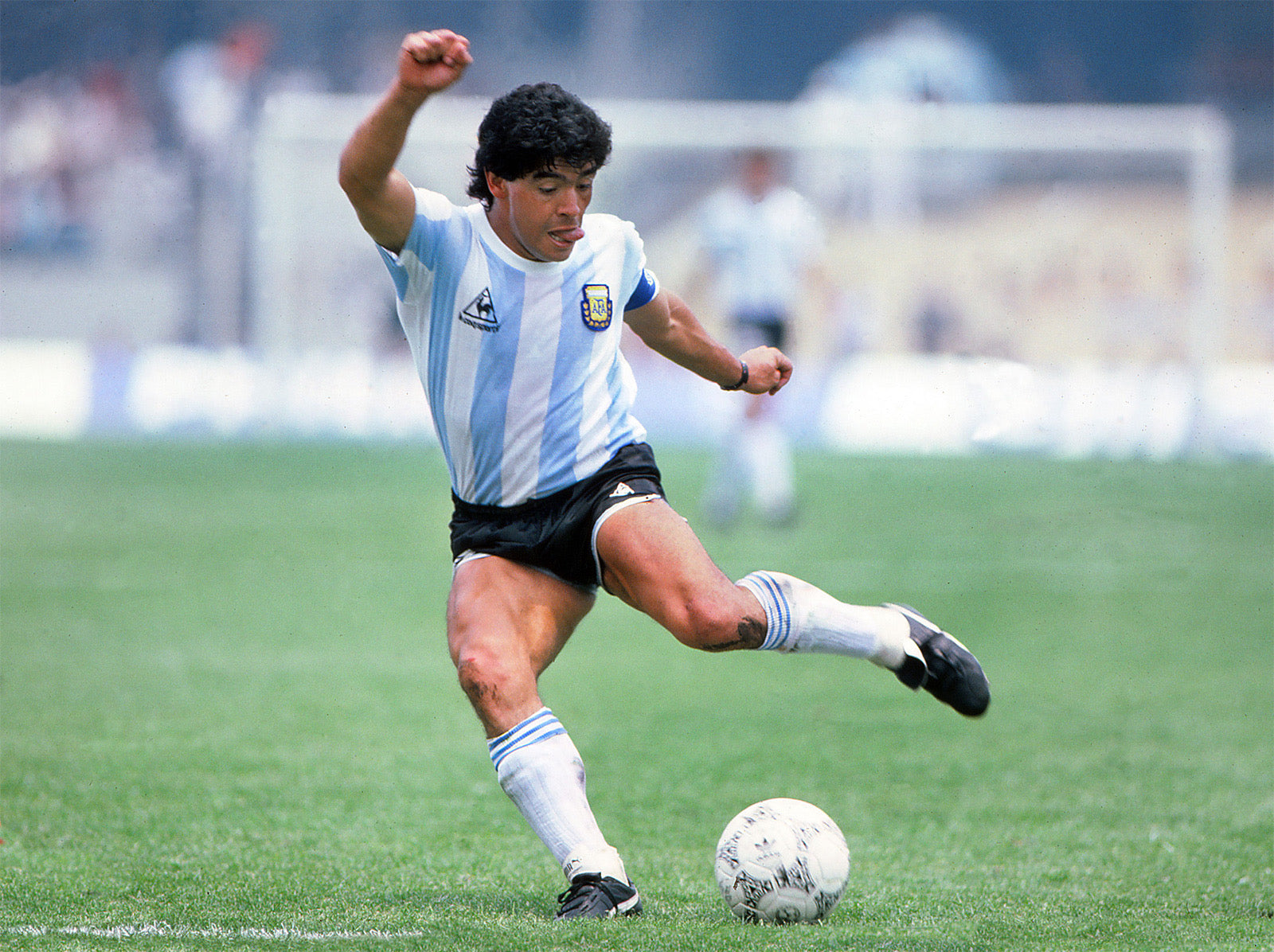 Wallpaper blue, captain, Mars, Napoli, Diego Maradona images for