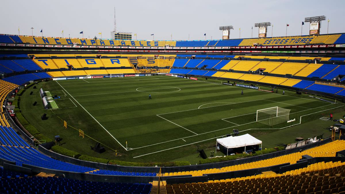 EVERYTHING YOU NEED TO KNOW ABOUT TIGRES