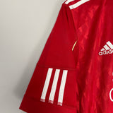 2010/12 LIVERPOOL TORRES #9 HOME SHIRT (M) ADIDAS